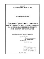 Tổng hợp n1 (2 (hydroxyamino) 2 oxoethyl) n5 phenylglutaramid và một số dẫn chất hướng ức chế histon deacetylase