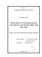 Tổng quan về asparaginase ứng dụng làm thuốc điều trị ung thư