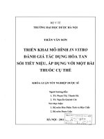 Triển khai mô hình invitro đánh giá tác dụng hoà tan sỏi tiết niệu, áp dụng với một bài thuốc cụ thể