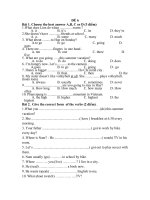 đề thi hk 2 tiếng anh lớp 6,đề tham khảo số 6