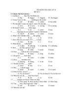 đề thi hk 2 tiếng anh lớp 6,đề tham khảo số 3