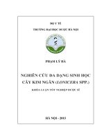Nghiên cứu đa dạng sinh học cây kim ngân (lonicera SPP )