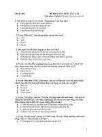 Đề văn lớp 11- sưu tầm tham khảo ôn thi kiểm tra, thi học sinh giỏi văn (46)