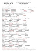 Đề thi thử thpt quốc gia môn Tiếng Anh (26)