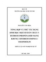Tổng hợp và thử tác dụng sinh học một số dẫn chất n  hydroxypropenamid mang khung 3   hydroxymino   2  oxoindolin