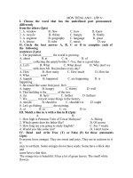 đề thi hk 2 tiếng anh lớp 6,đề tham khảo số 2