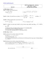 đề ôn tập hk2 toán 11, đề số 19