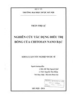 Nghiên cứu tác dụng điều trị bỏng của chitosan nano bạc