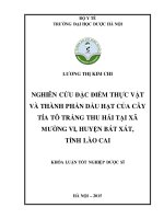 Nghiên cứu đặc điểm thực vật và thành phần dầu hạt của cây tía tô trắng thu hái tại xã mường vi, huyện bát xát, tỉnh lào cai