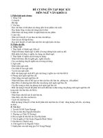 Đề văn lớp 11- sưu tầm tham khảo ôn thi kiểm tra, thi học sinh giỏi văn (48).DOC