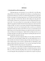 Hoàn thiện công tác quản lý nợ nước ngoài của Chính phủ tại Việt Nam