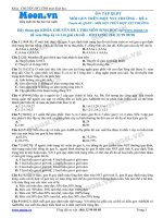 Đề 4 Quy luật di truyền (Mỗi gen trên 1 NST thường)