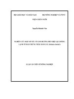 Nghiên cứu một số yếu tố ảnh hưởng đến hiệu quả đông lạnh tế bào trứng trâu đầm lầy (Bubalus bubalis)