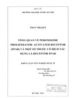 Tổng quan về peroxisome prolitferator   activated receptor ( PPAR) và một số thuốc có đích tác dụng là receptor PPAR