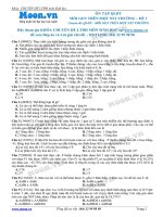 Đề 1 Quy luật di truyền (Mỗi gen trên 1 NST thường)