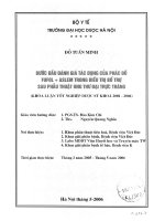 Bước đầu đánh giá tác dụng của phác đồ fufol + aslem trong điều trị bổ trợ sau phẫu thuật ung thư đại trực tràng