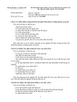 đề thi học sinh giỏi quốc tế 2009 môn vật lý ngày 2