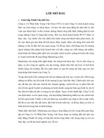 Hoàn thiện hệ thống Maketing Mix cho sản phẩm nhập khẩu thuốc BVTV của công ty cổ phần Khử Trùng Việt Nam