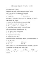 Đề thi học kì 2 môn văn lớp 6