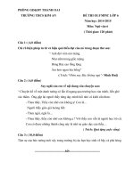 Đề ngữ văn 6 - đề kiểm tra, thi định kỳ học sinh giỏi tham khảo bồi dưỡng (17)