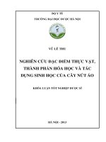 Nghiên cứu đặc điểm thực vật, thành phần hóa học, tác dụng sinh học của cây nút áo