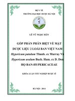 Góp phần phân biệt về mặt dược liệu 2 loài ban việt nam hypericum patulum thunb  ex maray và hypericum uralum buch ham ex  d don  họ ban  hypericaceae