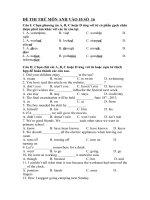 ĐỀ THI THỬ MÔN ANH VÀO 10 SỐ  16