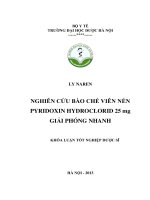 Nghiên cứu bào chế viên nén pyridoxin hydroclorid 25 mg giải phóng nhanh