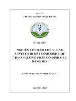 Nghiên cứu bào chế vi cầu acyclovir kết dính sinh học theo phương pháp cố định gel bằng ion