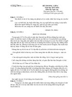 Đề ngữ văn 6 - đề kiểm tra, thi định kỳ học sinh giỏi tham khảo bồi dưỡng (46)