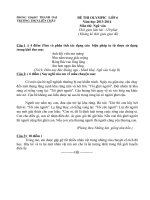 Đề ngữ văn 6 - đề kiểm tra, thi định kỳ học sinh giỏi tham khảo bồi dưỡng (96)