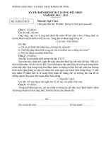 Đề ngữ văn 6 - đề kiểm tra, thi định kỳ học sinh giỏi tham khảo bồi dưỡng (123)