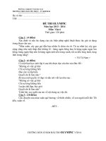 Đề ngữ văn 6 - đề kiểm tra, thi định kỳ học sinh giỏi tham khảo bồi dưỡng (129)