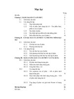 Sáng kiến kinh nghiệm về số phức ở trường THPT chuyên Bắc Giang.PDF