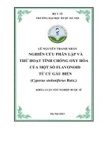 Nghiên cứu phân lập và thử hoạt tính chống oxy hóa của một số hợp chất flavonoid từ củ gấu biển (cyperus stoloniferus retz)