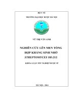 Nghiên cứu lên men sinh tổng hợp kháng sinh nhờ streptomyces