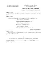 Đề kiểm tra học kì 2 môn Ngữ Văn lớp 10 năm 2013 trường THPT Ninh Hải, Ninh Thuận