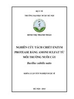 Nghiên cứu chiết tác enzym protease bằng amoni sulfat từ môi trường nuôi cấy bacillus subtilis natto