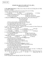 Đề ngữ văn 6 - đề kiểm tra, thi định kỳ học sinh giỏi tham khảo bồi dưỡng (142)