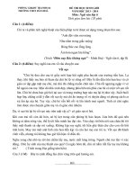 Đề ngữ văn 6 - đề kiểm tra, thi định kỳ học sinh giỏi tham khảo bồi dưỡng (107)