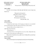 Đề ngữ văn 6 - đề kiểm tra, thi định kỳ học sinh giỏi tham khảo bồi dưỡng (68)