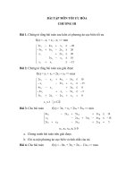 Bài tập môn tối ưu hóa (chương 3)