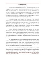 Giải pháp nhằm hạn chế rủi ro xuất khẩu tại công ty trách nhiệm hữu hạn sản xuất công nghiệp VIET D.E.L.T.A