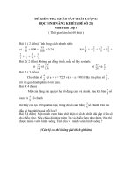 ĐỀ KIỂM TRA KHẢO sát CHẤT LƯỢNG học SINH NĂNG KHIẾU môn TOÁN lớp 5(đề số 25)