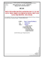 Chuyên ngành Marketing phân tích môi trường kinh doanh và các đề xuất  phát triển sản phẩm xi măng việt nam sang thị trường myanmar