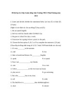 Đề thi học kì 2 lớp 6 môn tiếng anh trường THCS Nhuế Dương