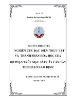 Nghiên cứu đặc điểm thực vật và thành phần hóa học bộ phận trên mặt đất cây cần tây thu hái ở nam định