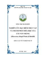 Nghiên cứu đặc điểm thực vật và thành phần hóa học của cây nần trắng