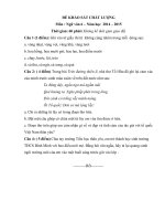 Đề ngữ văn 6 - đề kiểm tra, thi định kỳ học sinh giỏi tham khảo bồi dưỡng (92)