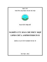 Nghiên cứu bào chế phức hợp lipid chứa amphotericin b